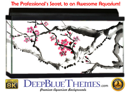 Buy Aquarium Background Asian Blossom Aquarium Background