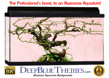 Buy Aquarium Background Asian Bonsai Aquarium Background