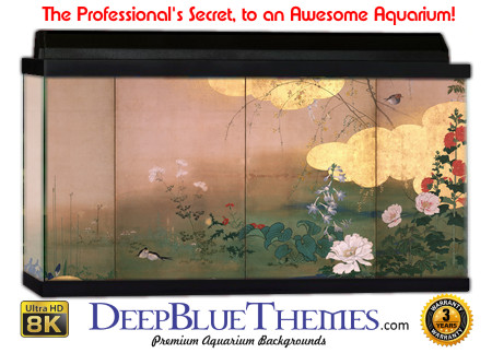 Buy Aquarium Background Asian Sky Aquarium Background