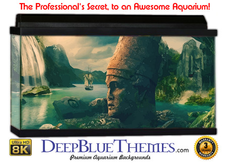 Buy Aquarium Background Atlantis Art Courtyard Aquarium Background
