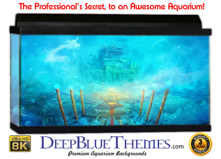 Buy Aquarium Background Atlantis Art Entry Aquarium Background