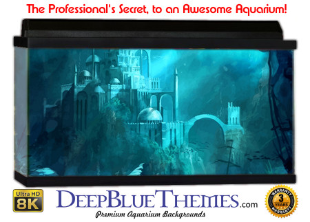 Buy Aquarium Background Atlantis Art Hidden Aquarium Background