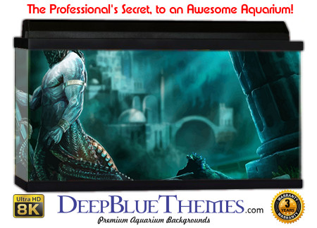 Buy Aquarium Background Atlantis Art King Aquarium Background