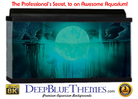 Buy Aquarium Background Awesome Art Aquarium Background
