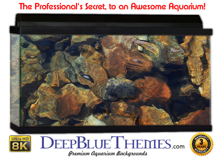 Buy Aquarium Background Awesome Bed Aquarium Background