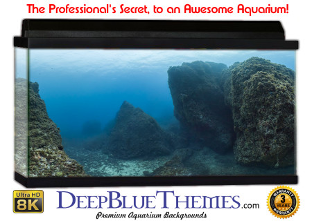 Buy Aquarium Background Awesome Boulders Aquarium Background