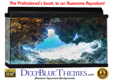 Buy Aquarium Background Awesome Cave Aquarium Background