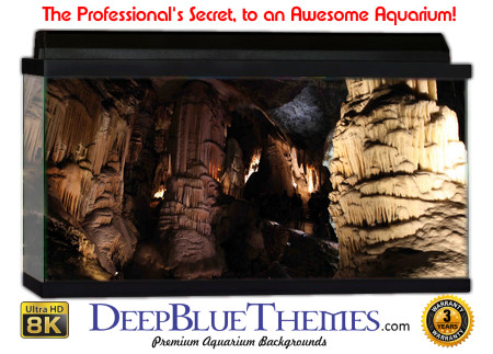 Buy Aquarium Background Awesome Cavelight Aquarium Background