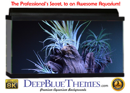 Buy Aquarium Background Awesome Driftwood Aquarium Background