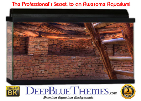 Buy Aquarium Background Awesome Entry Aquarium Background