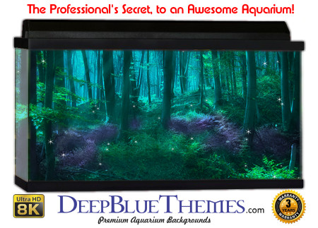 Buy Aquarium Background Awesome Forest Aquarium Background