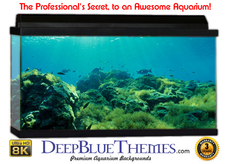 Buy Aquarium Background Awesome Green Aquarium Background