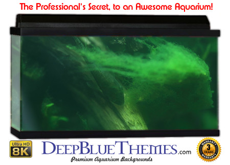 Buy Aquarium Background Awesome Greenblur Aquarium Background