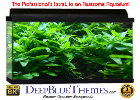 Buy Aquarium Background Awesome Greens Aquarium Background