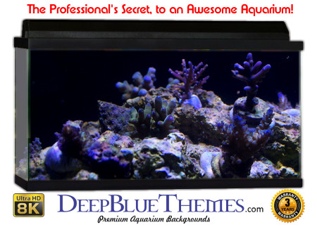 Buy Aquarium Background Awesome Growth Aquarium Background