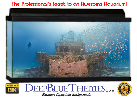 Buy Aquarium Background Awesome Helm Aquarium Background