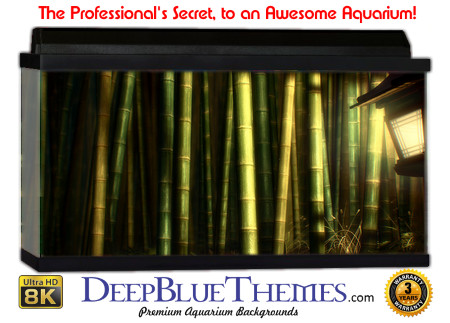 Buy Aquarium Background Awesome Lantern Aquarium Background