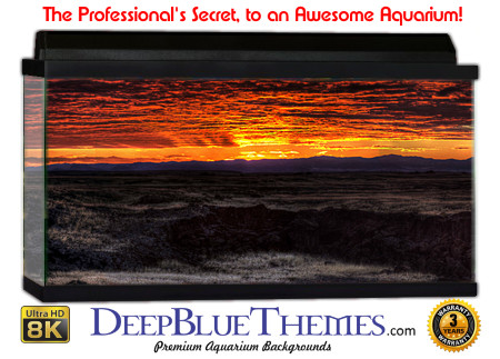 Buy Aquarium Background Awesome Lava Aquarium Background