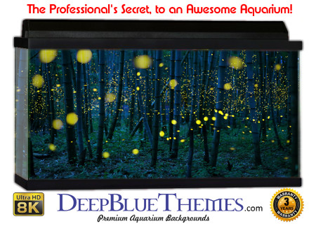 Buy Aquarium Background Awesome Magic Aquarium Background