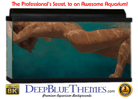 Buy Aquarium Background Awesome Maiden Aquarium Background