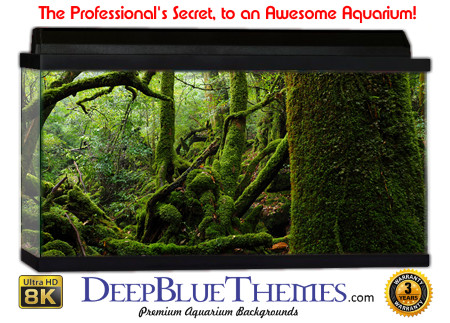 Buy Aquarium Background Awesome Moss Aquarium Background