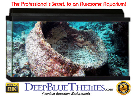 Buy Aquarium Background Awesome Pot Aquarium Background