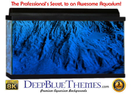 Buy Aquarium Background Awesome Range Aquarium Background