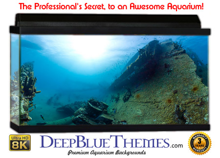 Buy Aquarium Background Awesome Ridge Aquarium Background