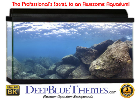 Buy Aquarium Background Awesome Rock Aquarium Background