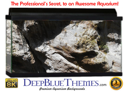 Buy Aquarium Background Awesome Rockwall Aquarium Background