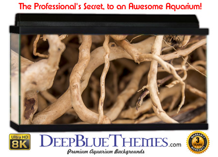 Buy Aquarium Background Awesome Roots Aquarium Background