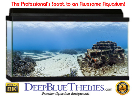 Buy Aquarium Background Awesome Ruin Aquarium Background