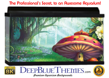 Buy Aquarium Background Awesome Shroom Aquarium Background