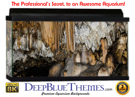 Buy Aquarium Background Awesome Sparkle Aquarium Background