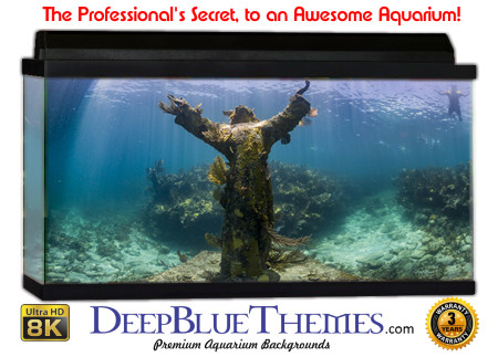 Buy Aquarium Background Awesome Statue Aquarium Background