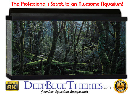 Buy Aquarium Background Awesome Trees Aquarium Background