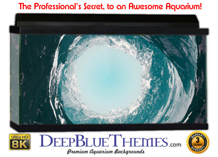 Buy Aquarium Background Awesome Tunnel Aquarium Background