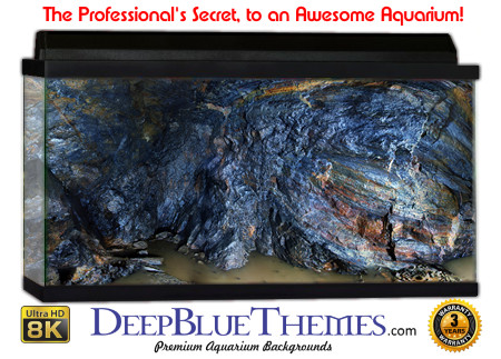 Buy Aquarium Background Awesome Undercave Aquarium Background