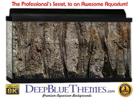 Buy Aquarium Background Awesome Wall Aquarium Background