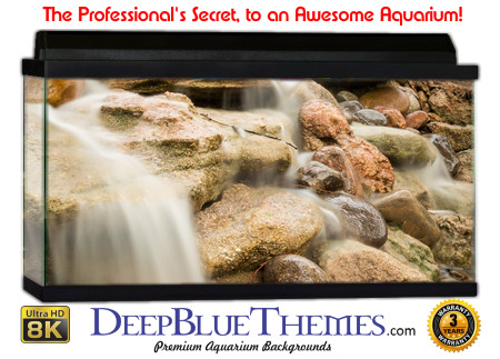 Buy Aquarium Background Awesome Watereffect Aquarium Background