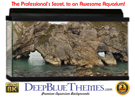Buy Aquarium Background Awesome Widearch Aquarium Background