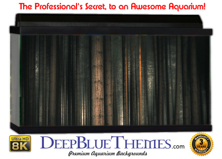 Buy Aquarium Background Awesome Woody Aquarium Background