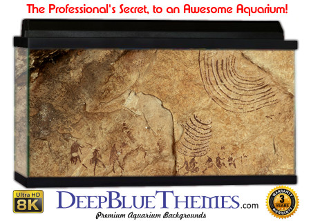 Buy Aquarium Background Awesome Writing Aquarium Background