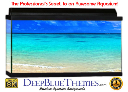 Buy Aquarium Background Beach Clear Aquarium Background