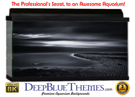 Buy Aquarium Background Black Beach Aquarium Background