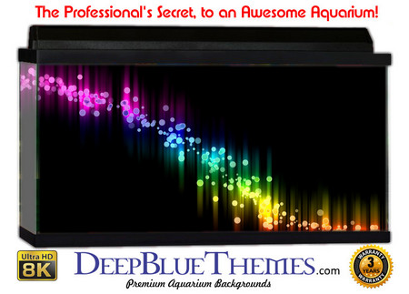 Buy Aquarium Background Black Colors Aquarium Background