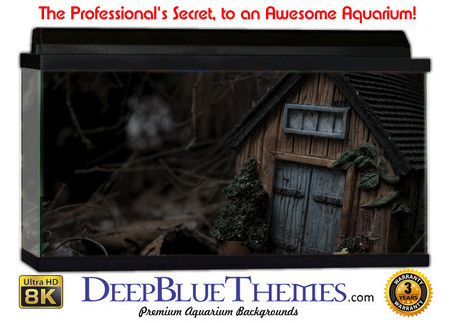 Buy Aquarium Background Black Cottage Aquarium Background