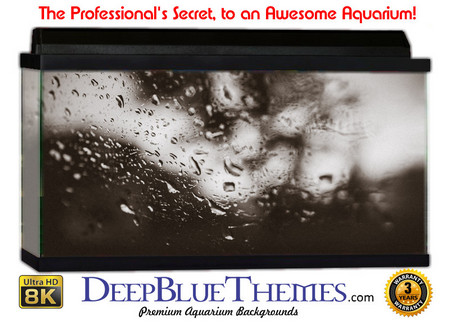 Buy Aquarium Background Black Drips Aquarium Background