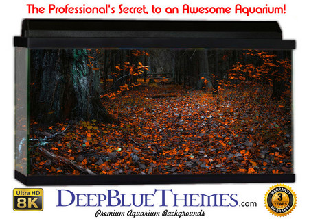Buy Aquarium Background Black Fall Aquarium Background