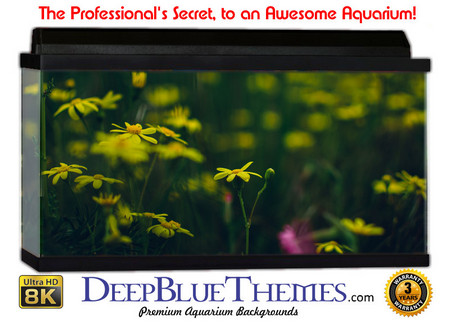 Buy Aquarium Background Black Flowers Aquarium Background